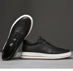 Men's Low-Top Sneakers – Canvas Mesh EVA Cushion US Sizing