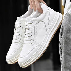 Men's Low-Top Sneakers – Canvas Mesh EVA Cushion US Sizing