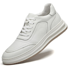Men's Low-Top Sneakers – Canvas Mesh EVA Cushion US Sizing