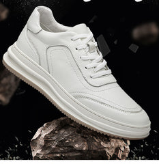 Men's Low-Top Sneakers – Canvas Mesh EVA Cushion US Sizing