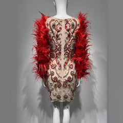 Red Feather Trim Dress – Sheer Mesh Sleeves Hand-Sewn Rhinestones