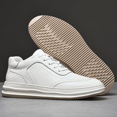 Men's Low-Top Sneakers – Canvas Mesh EVA Cushion US Sizing