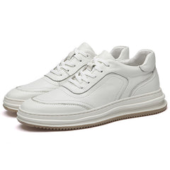 Men's Low-Top Sneakers – Canvas Mesh EVA Cushion US Sizing