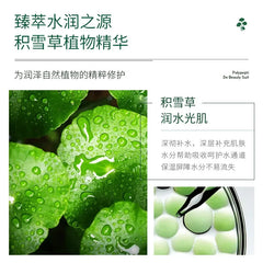 Centella Asiatica Skincare Set – Oil Control Serum & Cream with Vitamin C